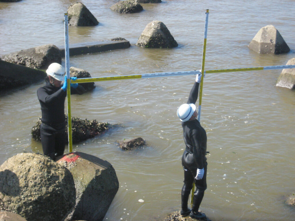 disaster-investigation